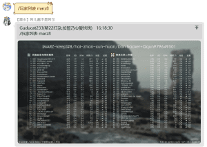bf1rsp-战地1服管功能详解-豹猫の小天地